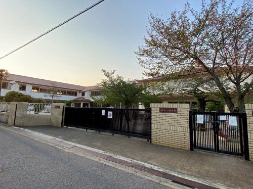 Land for Sale in Wakayama City with Old House - 184.31 sqm - Thumbnail 2