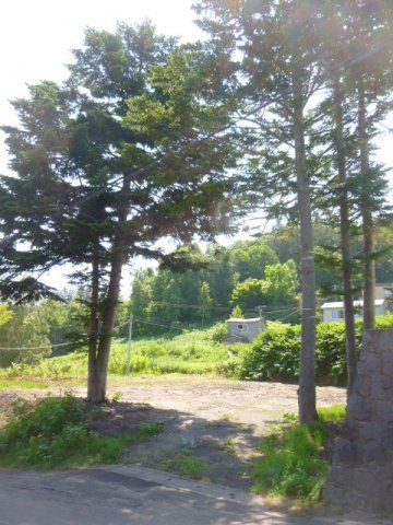 Vacant Land for Sale in Otaru, Hokkaido - 449.84 sqm - Thumbnail 4