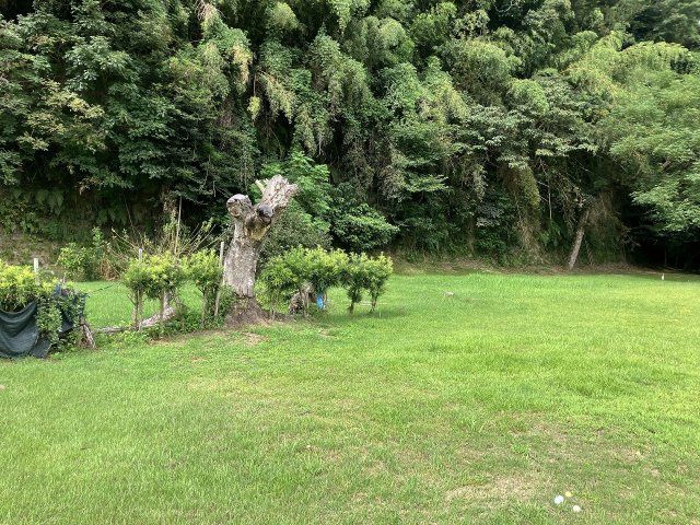 1,927 sqm Land for Sale in Izumi, Kagoshima - Thumbnail 4
