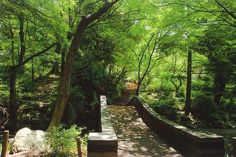 Land for Sale in Minami-Azabu, Minato Ward, Tokyo - 165.27 sqm - Thumbnail 3