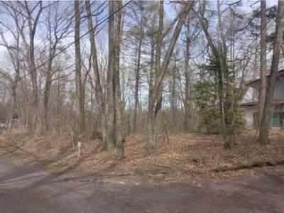 463 sqm Land for Sale in Tsumagoi, Gunma — Exterior, Tsumagoi, Gunma