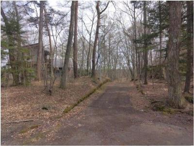 463 sqm Land for Sale in Tsumagoi, Gunma — Exterior, Tsumagoi, Gunma