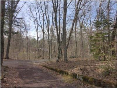 463 sqm Land for Sale in Tsumagoi, Gunma — Land, Tsumagoi, Gunma