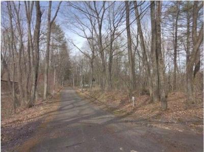 463 sqm Land for Sale in Tsumagoi, Gunma — Land, Tsumagoi, Gunma