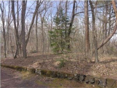 463 sqm Land for Sale in Tsumagoi, Gunma — Land, Tsumagoi, Gunma