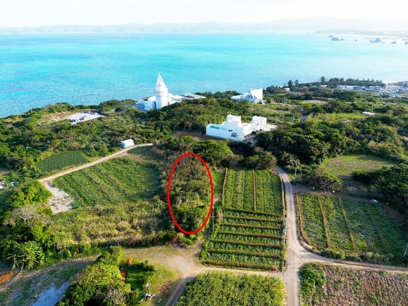 438 sqm Land Plot for Sale in Nakijin Village, Okinawa - Thumbnail 2