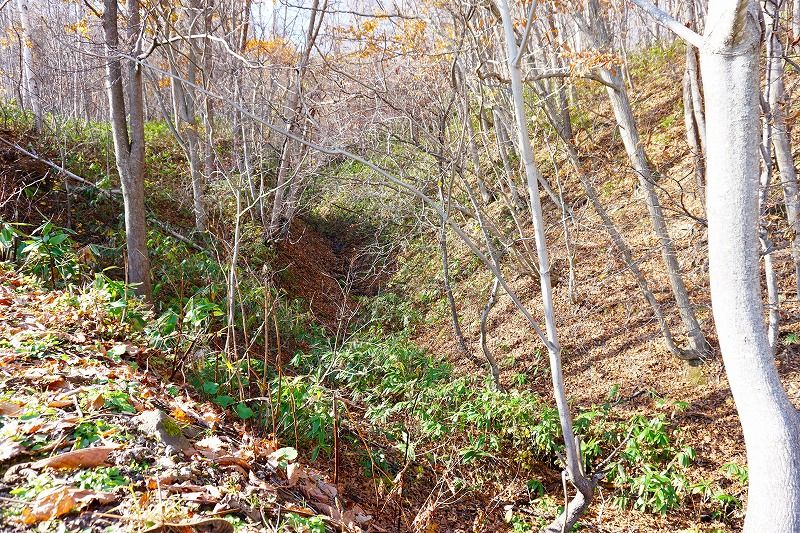 Vast 27,034 sqm Forest Land for Sale in Sapporo's Minami Ward - Thumbnail 2