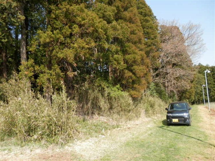 15,126 sqm Forest Land for Sale in Ami Town, Ibaraki - Thumbnail 3