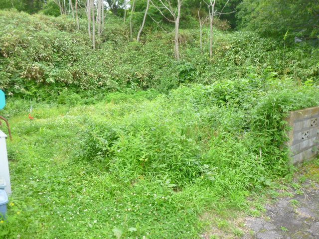 Vacant Land for Sale in Otaru, Hokkaido - 351.26 sqm Plot - Thumbnail 3