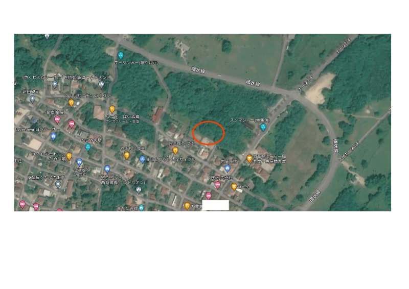 267 Tsubo Vacant Land for Sale on Taketomi Island, Okinawa - Thumbnail 3