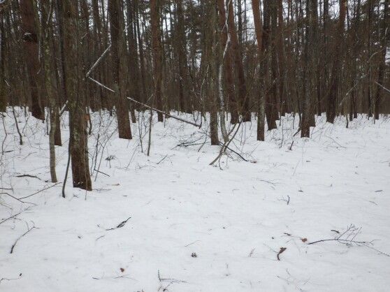 Vacant Land for Sale in Iizuna Town, Nagano - 1025 sqm - Thumbnail 2