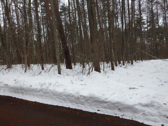 Vacant Land for Sale in Iizuna Town, Nagano - 1025 sqm - Thumbnail 3