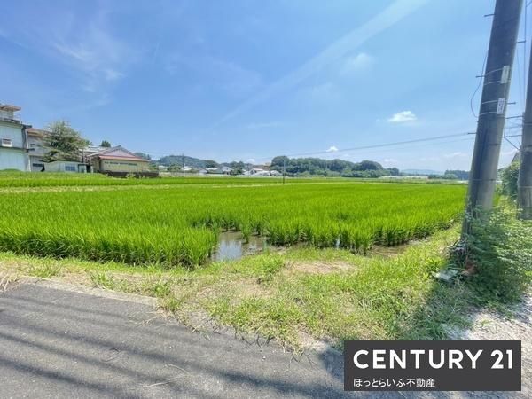 Over 700 Tsubo Land for Sale in Takazakicho Omuta, Miyakonojo - Thumbnail 4