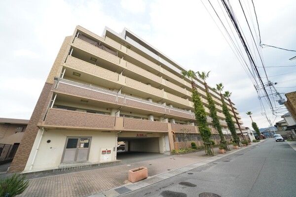 Grande Solare Hakata no Mori 3LDK Apartment in Fukuoka - Image 1