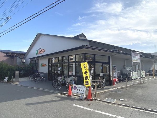 Vacant Land for Sale in Kyoto's Kita Ward, Wide Frontage - Thumbnail 4