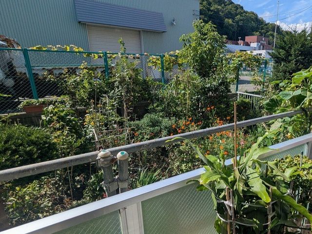 Dia Palace Minami 30-jo 2LDK Apartment with Garden in Sapporo - Thumbnail 3