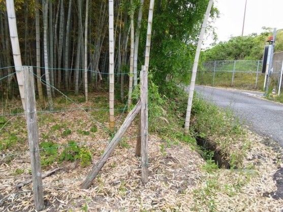Land for Sale in Utsunomiya, Tochigi – 436 sqm Auction Plot - Thumbnail 3