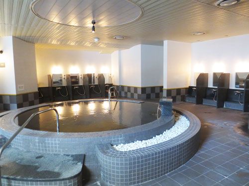 Royal Plaza Minakami 1LDK Apartment in Gunma - Thumbnail 4