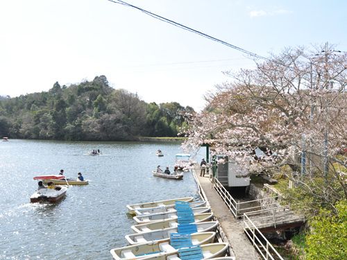74.8 Tsubo Land for Sale in Kinokawa City, Wakayama - Thumbnail 3