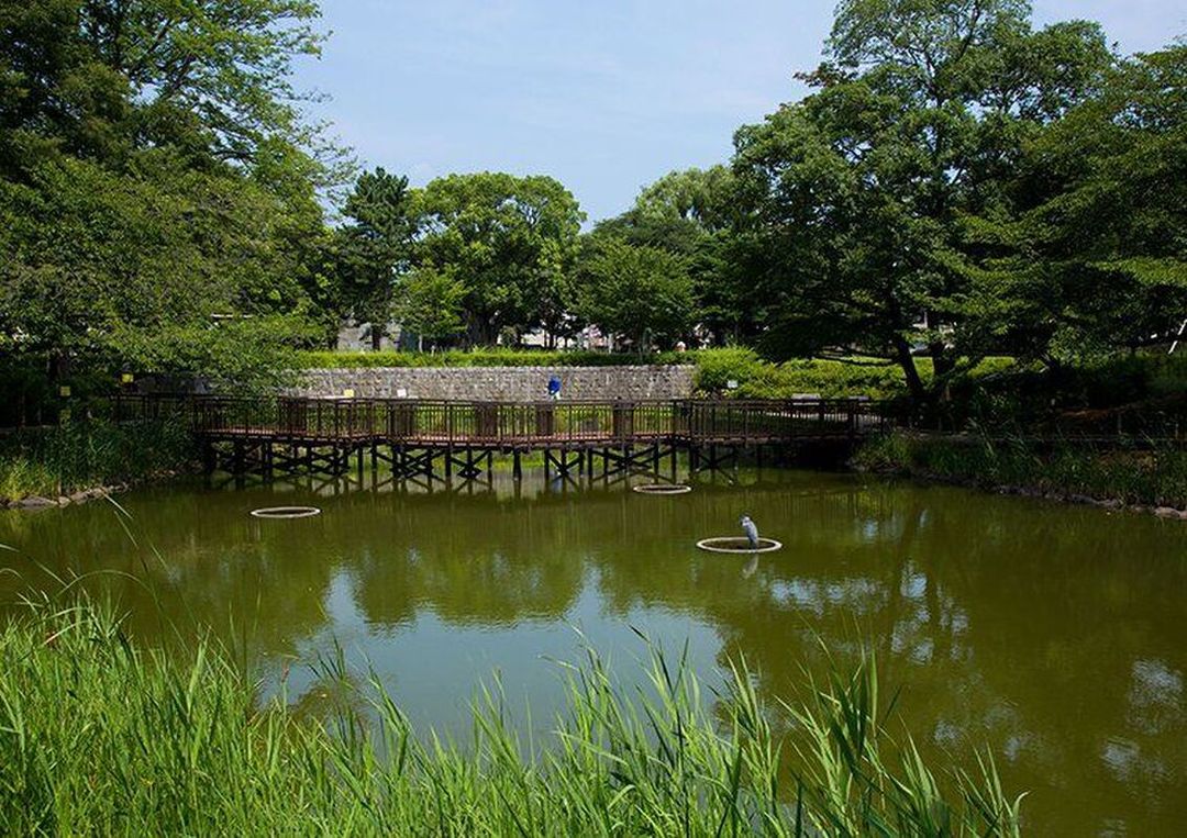 Land for Sale in Shinagawa, Tokyo - Build Your Dream Home - Thumbnail 4