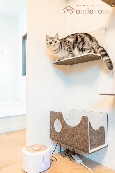 [Homes] Ondoone Jyoto, Shinkitahigashi 2-chome | — Image 4, Joto, Osaka