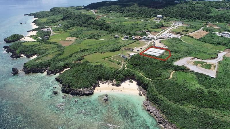 Land for Sale in Nakijin Village, Okinawa - Agricultural & Tourism Potential - Thumbnail 3