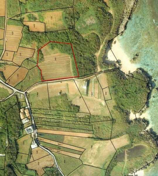 Land for Sale in Nakijin Village, Okinawa - Agricultural & Tourism Potential - Thumbnail 4