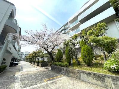 3LDK Apartment with Tea Room in Ashiya Garden Hills — Image 1, Ashiya, Hyogo