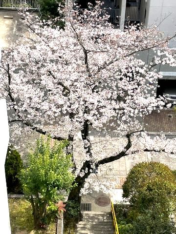 3LDK Apartment with Tea Room in Ashiya Garden Hills - Thumbnail 3
