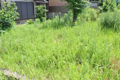 【Holmes】Nanato | — Image 4, Mobara, Chiba