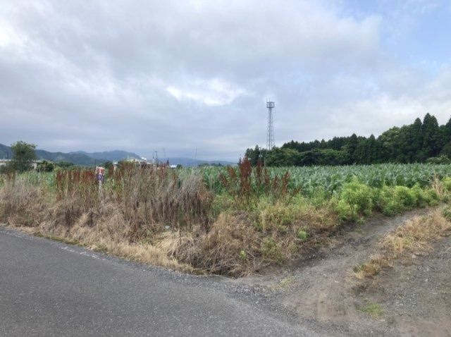 Land for Sale in Kimotsuki District, Kagoshima - 1,749 sqm - Thumbnail 4