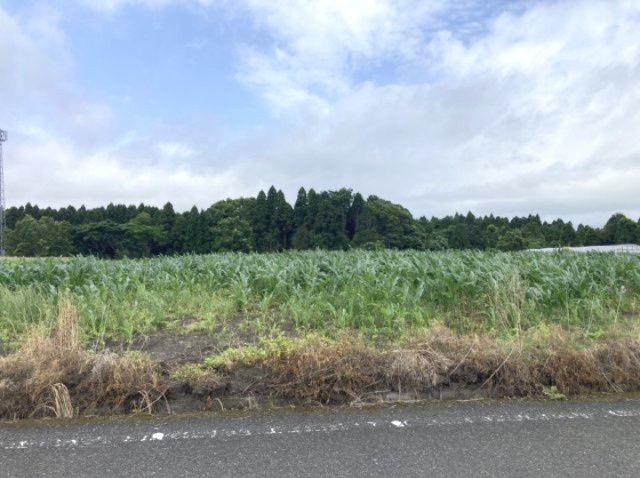 Land for Sale in Kimotsuki District, Kagoshima - 1,749 sqm - Thumbnail 3