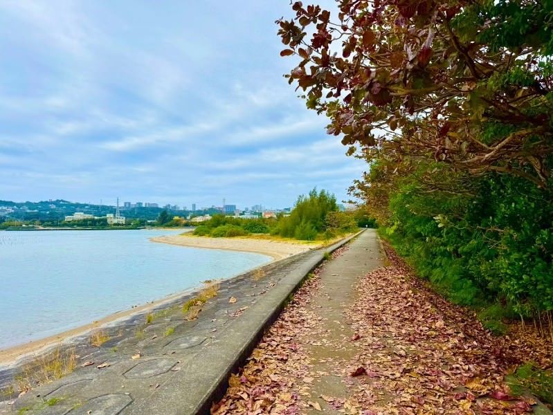 Four Vacant Land Plots for Sale in Misaki, Kitamakagusuku, Okinawa - Thumbnail 3