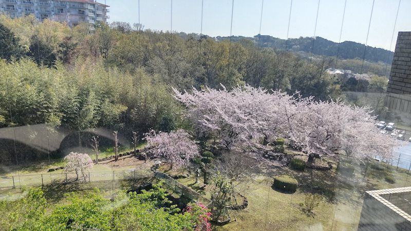 Lowaiel Izu Kogen 3LDK Apartment with Pool & Ocean Views - Thumbnail 4