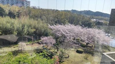 Lowaiel Izu Kogen 3LDK Apartment with Pool & Ocean Views — Image 11, Ito, Shizuoka
