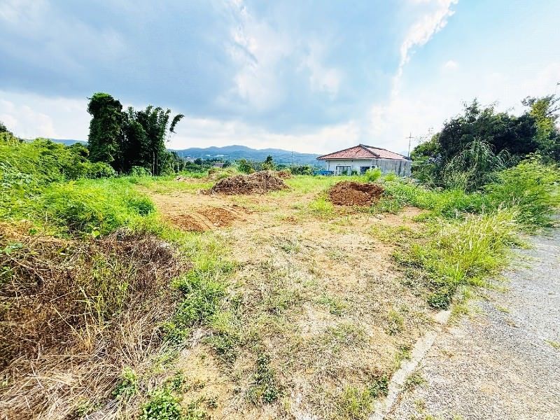 1,006 sqm Land Plot for Sale in Nakijin Village, Okinawa - Thumbnail 4