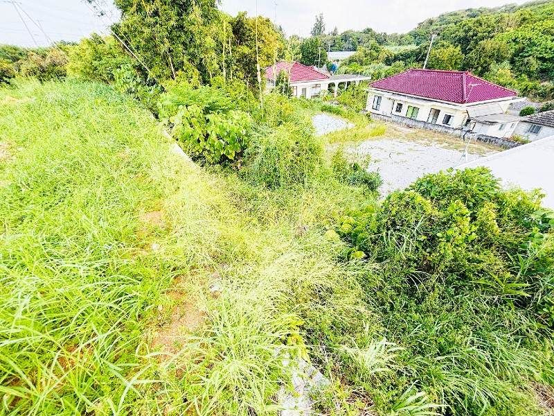 1,006 sqm Land Plot for Sale in Nakijin Village, Okinawa - Thumbnail 2