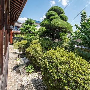4-Building Estate in Historic Sakamoto, Otsu, Shiga - Thumbnail 4