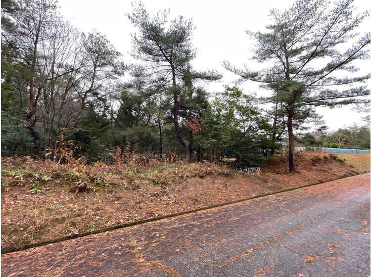 Vacant Land for Sale in Anamizu, Noto Peninsula, Ishikawa - Thumbnail 2