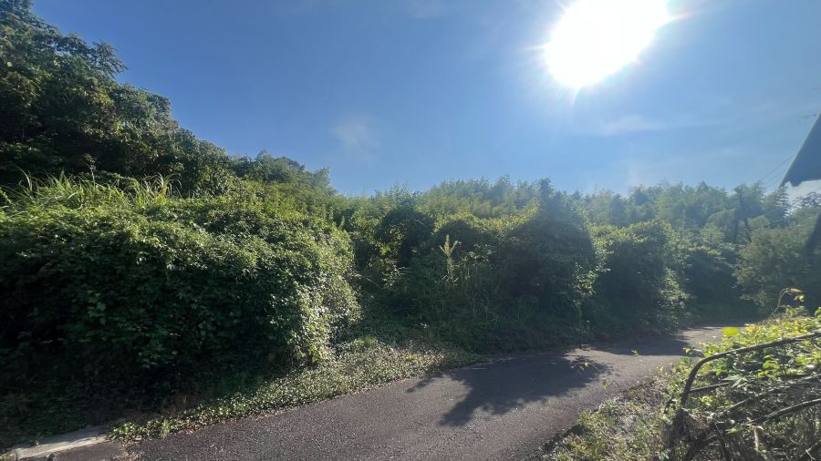 Land for Sale in Miyazaki City - 217 sqm - Vacant Lot - Thumbnail 2