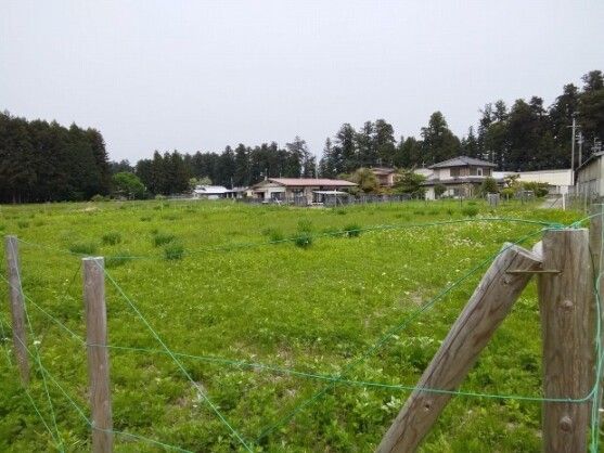 Land for Sale in Nikko City, Tochigi - 1,895.50 sqm - Thumbnail 4