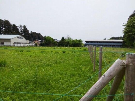Land for Sale in Nikko City, Tochigi - 1,895.50 sqm - Thumbnail 3