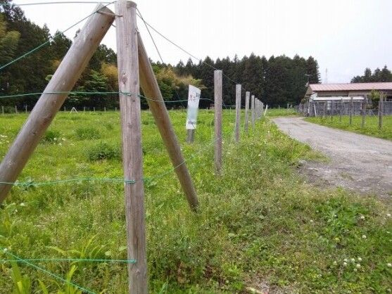 Land for Sale in Nikko City, Tochigi - 1,895.50 sqm - Thumbnail 2