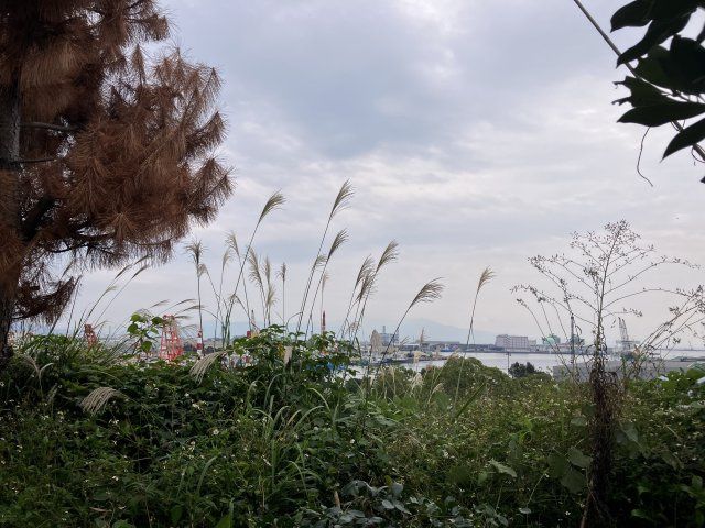 Kagoshima Vacant Land with Kinko Bay View in Hikariyama - Thumbnail 3