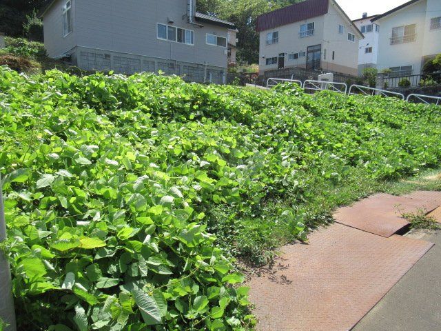 Corner Land Plot for Sale in Matsugae, Otaru, Hokkaido - Thumbnail 4