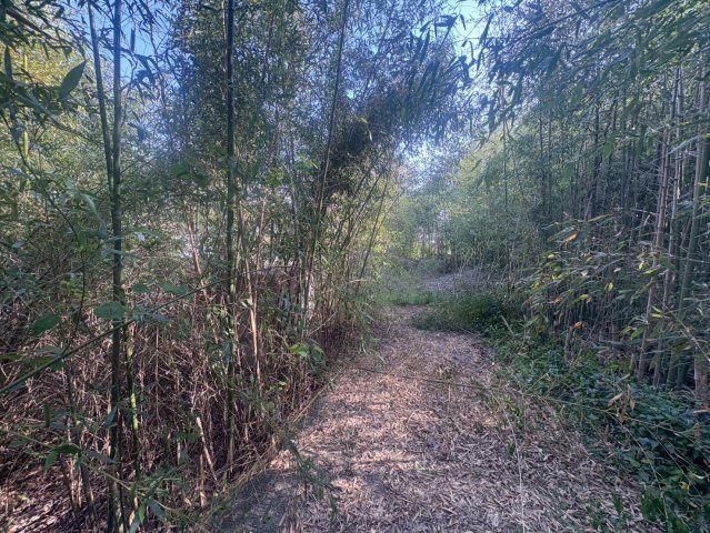 Land for Sale in Kizugawa City, Kyoto - 1935 sqm near Tanakura Station - Thumbnail 3