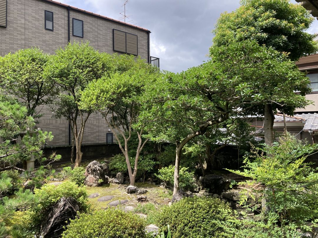 Land for Sale in Matsuyama with Japanese Garden near Dogo Onsen - Thumbnail 2