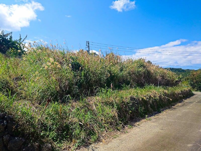 Vacant Land for Sale in Nanjo City, Okinawa - 250.11 sqm - Thumbnail 2