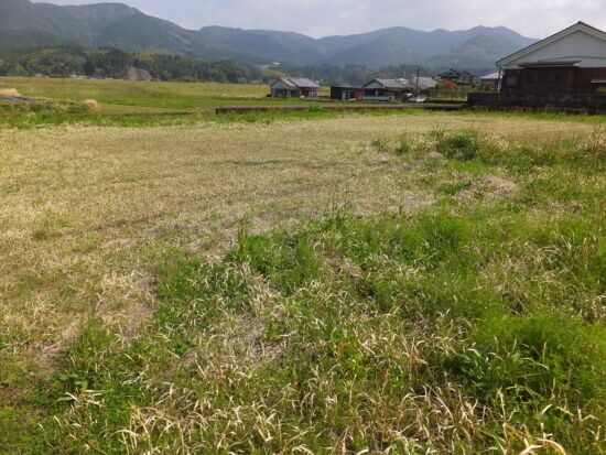 Vacant Land for Sale in Ebino City, Miyazaki - 703.65 sqm - Thumbnail 2