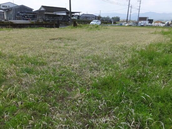 Vacant Land for Sale in Ebino City, Miyazaki - 703.65 sqm - Thumbnail 3